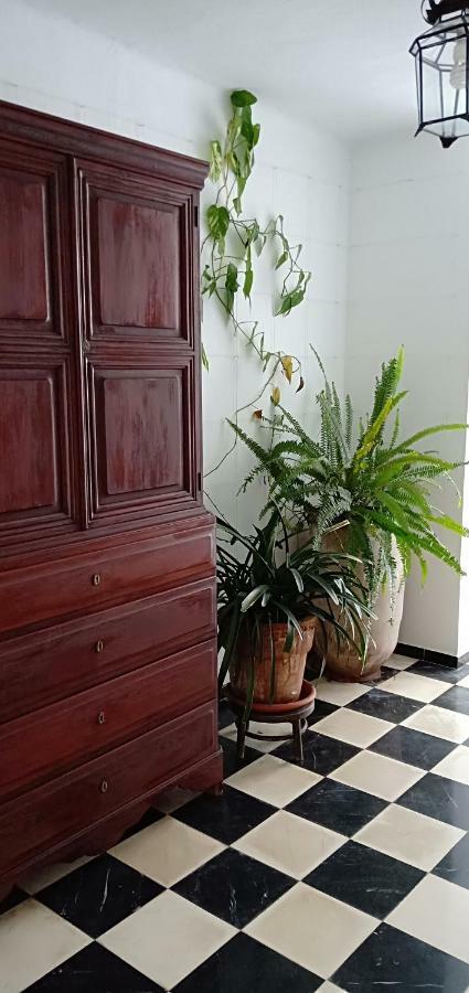 Hostal Cas Bombu Cala Ratjada  Buitenkant foto